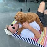 Sam Dodd - @sammyjdodd - Instagram