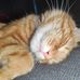 Sam Dodd - Facebook
