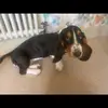 SamDodd - @samdodd42 - TikTok