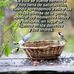 Sam Dominguez - Facebook