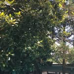 Sam Dover - @rae_516 - Instagram