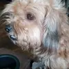sam dow - @sam.dow79 - TikTok