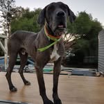 Sam Draper - @sam.draper.737 - Instagram