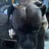 Samuel - @sam.draper59 - TikTok