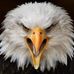 Sam Duvall - Facebook