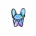 Sam Earle - @dash_and_found - Instagram