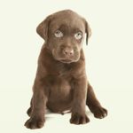 sam_egberts_spam - @sam_eberts_spam - Instagram