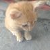 Sam Eisen Clarito - Facebook