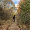 Sam Eisen-Webne - @sameisenwebne - TikTok
