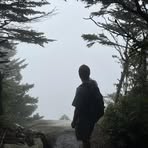 Sam Eisenberg - Facebook