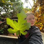 Sam Elder - @sam_elder_2023 - Instagram