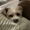 Sam - @sam.elder - TikTok