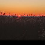 @sam.fairburn73 - Instagram