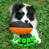 Samantha Fairley - @samantha.fairley - TikTok