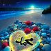 Sam Faisal - Facebook
