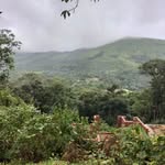 Sam Faisal Khan - @samfaisalkhan - Instagram