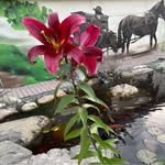Sam Fallon - @samfallonrex - Instagram