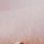 @samfa_rid - Instagram