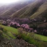 samfarid - @samfarid6369 - Instagram