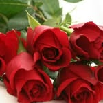samfarid - @samfarid4521 - Instagram