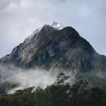 Sam Farman - @fiordland_in_focus - Instagram