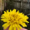 Sam farmer - @random_videos_5492 - TikTok