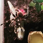 Sam Farmer - @sam.farmer.9047 - Instagram
