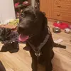 Sam Farrell - @yousuckcharlie._0 - TikTok