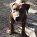 Sam Farrington - Facebook