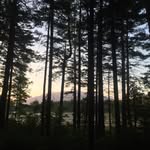 Sam Farrington - @samfarringtron - Instagram