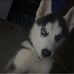 Sam Farrington - Facebook