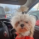 MC Sam Gowan - @sam_fay_2204 - Instagram