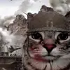 Sam._.Fay - @sam._.fay - TikTok