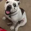 Sam Fazio - @sam.fazio6 - TikTok