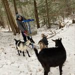 Sam Feinberg - @sammyfeinz - Instagram