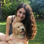 Sam Feingold - @samanthafeingold - Instagram