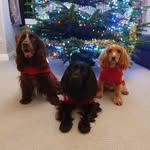 Sam Fenwick - @samfenwick72 - Instagram