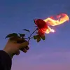 Sam Fernando - @sam.fernando10 - TikTok
