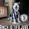 user2805068410059 - @ferrantesam - TikTok
