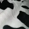 @sam - @ferrara_sam - TikTok