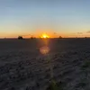 Sam Ferris - @samferris258 - TikTok