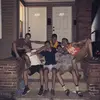 Sam_Fields___ - @samfields___ - TikTok