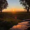 Sfielder - @sam.fielder - TikTok