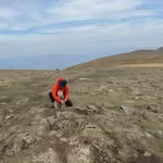 Sam - @samfifield - Instagram