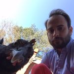 Samuel Fifield - @samuelfifield - Instagram