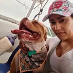 Samantha Figueiredo - @sam.17.fig - Instagram