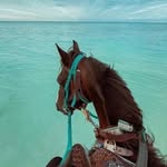 @sam__filters - Instagram