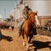 Sam Fine - Facebook