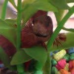 SAMI THE FISHH🐠🐠 - @sami.finkelstein - Instagram