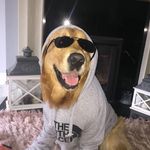 Sam Fogarty - @sam_finstaa27 - Instagram